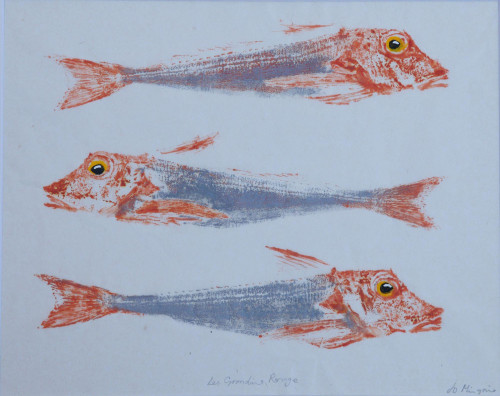 Grondins Rouge