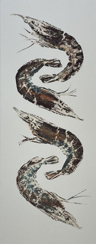 Dancing Prawns