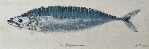 Mackerel I