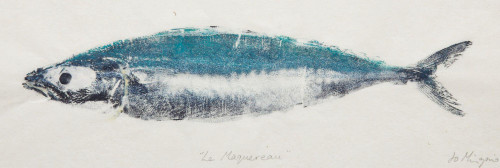 Mackerel
