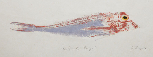 Grondin Rouge