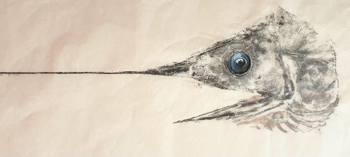 Swordfish
