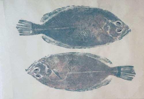 Two Pale Sole