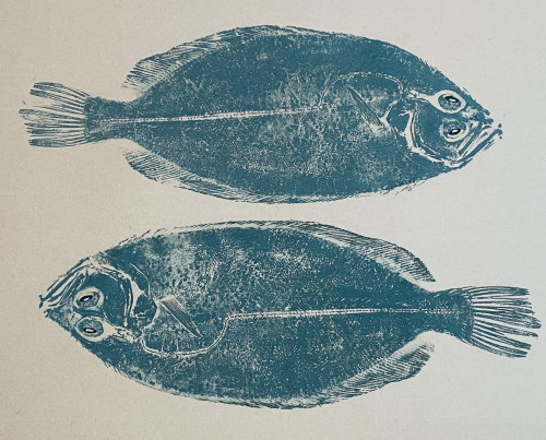 Two Turquoise Sole