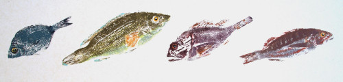 Soupe des Poissons