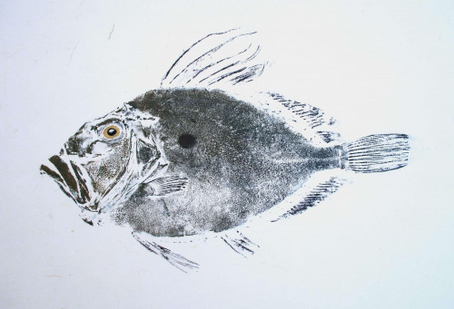 John Dory