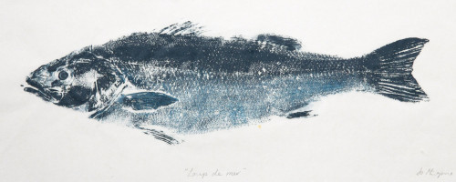 Loup de Mer