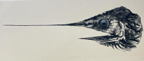 Swordfish