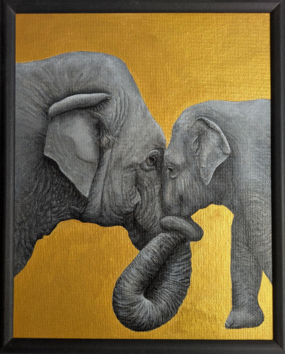 Éléphants