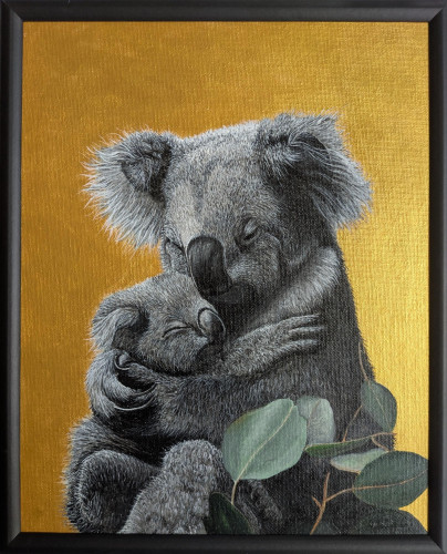 Koalas