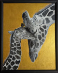 Girafes