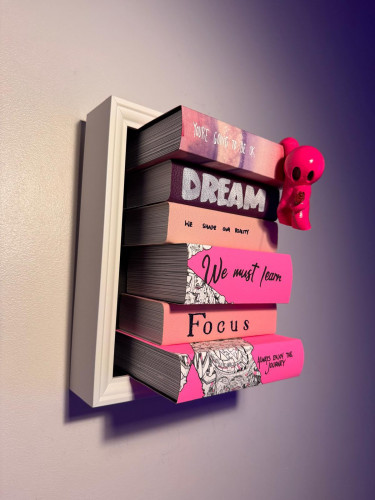 Books - Big full pink dreams