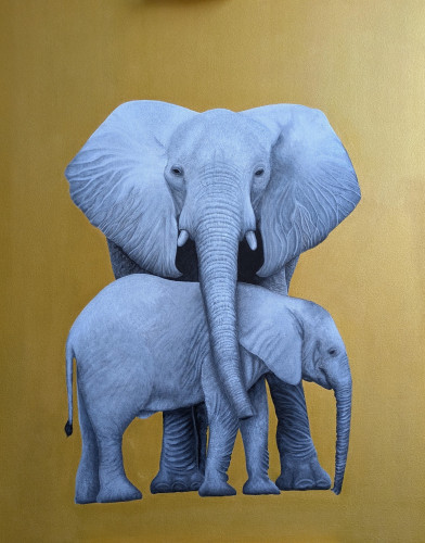 Éléphants 2