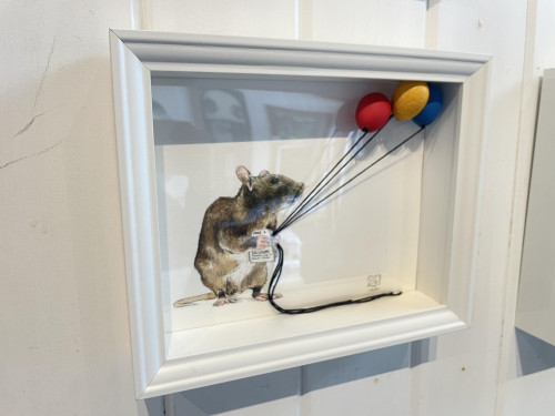 Find a solution (rat)