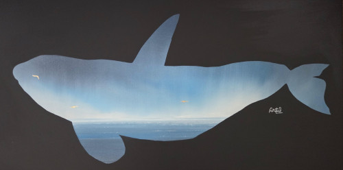 Épaulard bleu