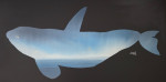 Épaulard bleu