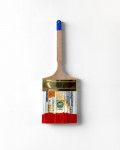 The Color of Money