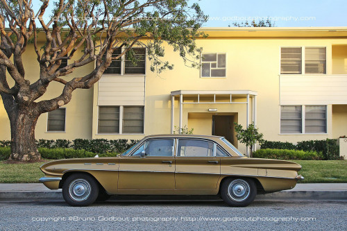 Buick special Venice