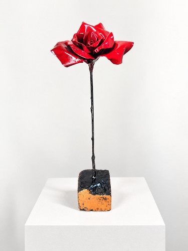 Rose hybride de thé 6
