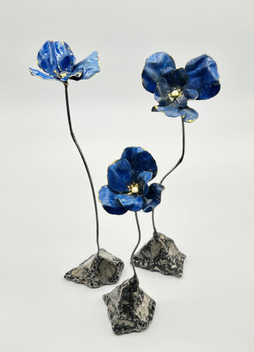 Pavot bleu de l'Himalaya #8