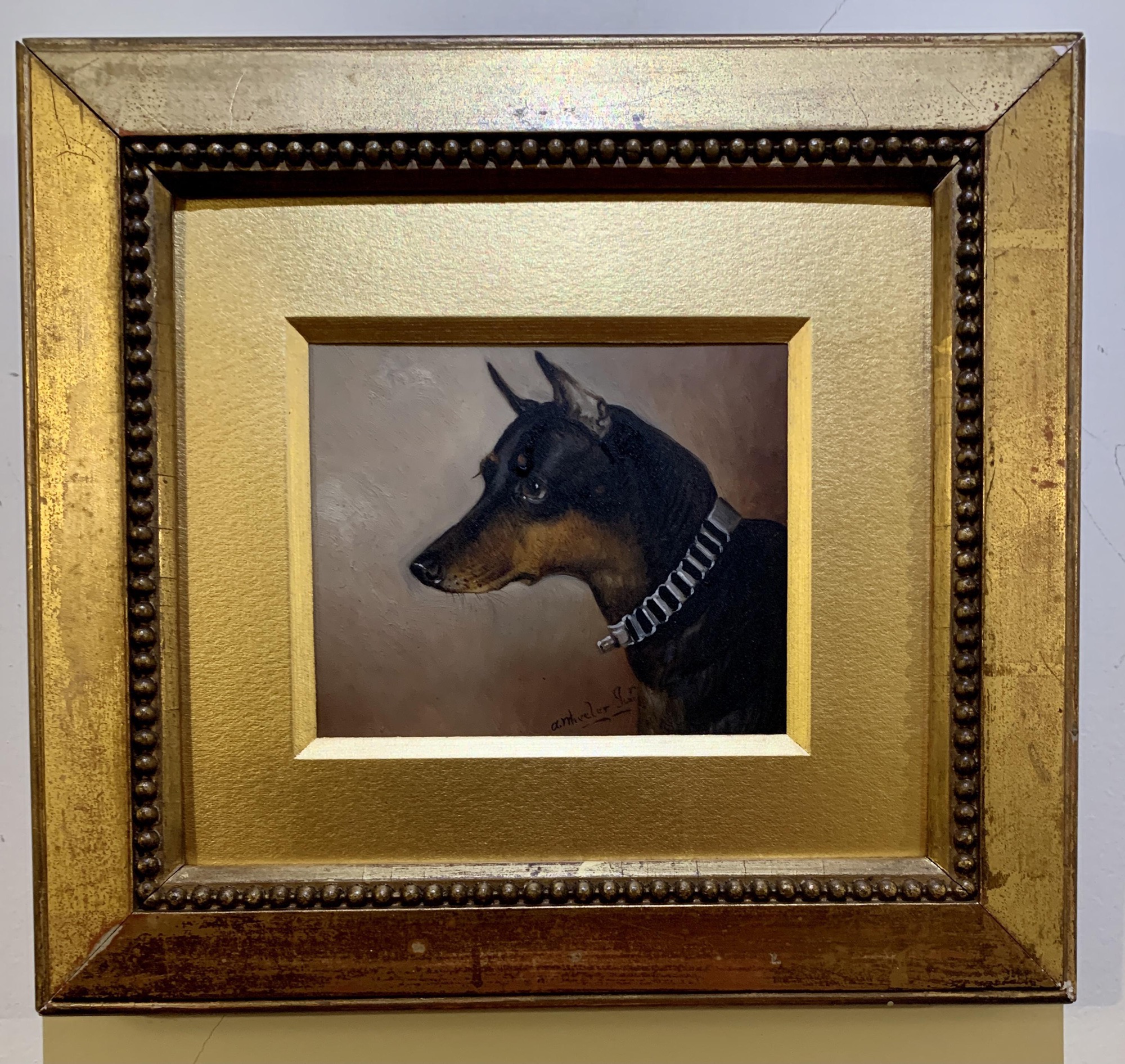 19th Century English Jack Russell And Pincher Dog Head Portraits 19th Century English Jack Russell And Pincher Dog Head Portraits