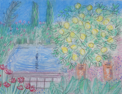 Citrus and Fountain at Villa Oasis, Jardin Majorelle