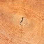 Aesthetic Movement Open Bookcase