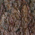 Mid 20th century abstract oil on board