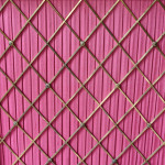 19th Century Willian IV Rosewood Chiffonier