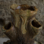 19th Century Faux Bois Strawberry Planter