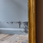 Tall Early 19th Century Gilt Mirror