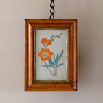 Set of  5 Botanical Images from 18th Century