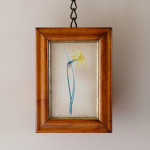 Set of  5 Botanical Images from 18th Century