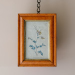 Set of  5 Botanical Images from 18th Century