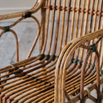 Cane and rattan armchair