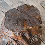 Large Burr Tree Stump Table