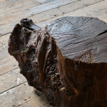 Large Burr Tree Stump Table