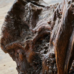 Large Burr Tree Stump Table