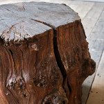 Large Burr Tree Stump Table