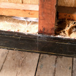 Early 19th Century Sofa in Original Dry Paint
