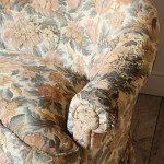 20th Century Curved country house sofa