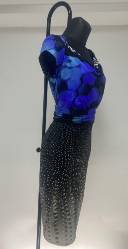 Roberto Cavalli blue print dress