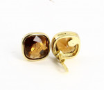 Christian Dior Golden Clip Earrings