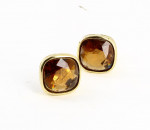 Christian Dior Golden Clip Earrings