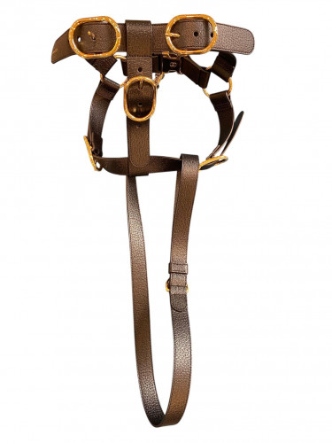 Gucci Black Leather Dog Harness Golden Buckles