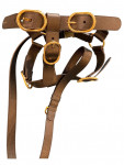 Gucci Black Leather Dog Harness Golden Buckles