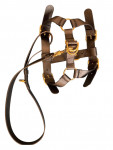 Gucci Black Leather Dog Harness Golden Buckles