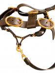 Gucci Black Leather Dog Harness Golden Buckles
