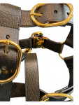Gucci Black Leather Dog Harness Golden Buckles