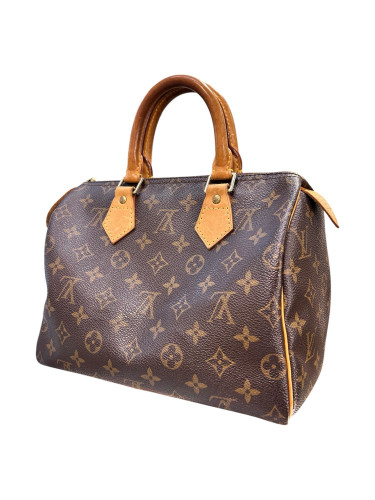 2003 Louis Vuitton Speedy Mini Handbag Monogram Canvas